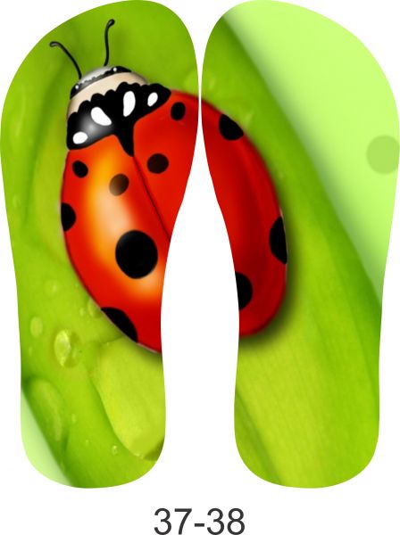 Chinelo de Joaninha